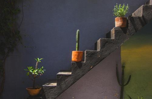 Centro House | El Pinche Hostal