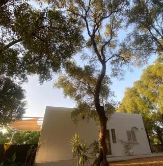 Barbate House | El Refugio de las marismas