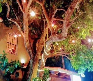 Bacalar Hotel | El Roble Hotel
