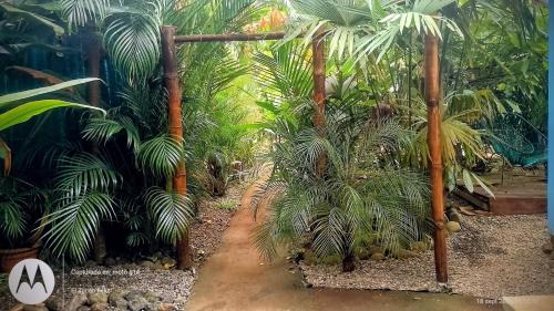 Cocles Apartment | El Tucán Feliz - Jungle tiny guest house by Playa Cocles
