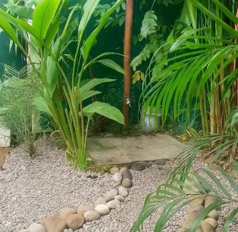 Cocles Apartment | El Tucán Feliz - Jungle tiny guest house by Playa Cocles