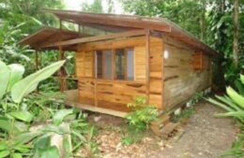Cocles Bed & Breakfast | El Tucan Jungle Lodge