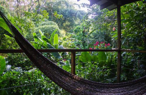 Cocles Bed & Breakfast | El Tucan Jungle Lodge