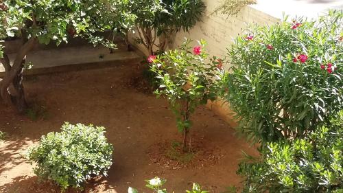 Halepa Apartment | Ela Apartment Chania