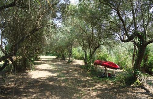 Aristotelis Villa | Elaionas