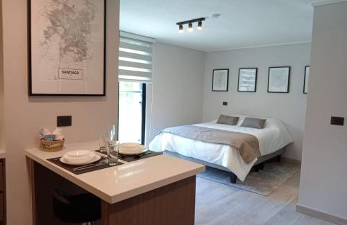 Providencia Apartment | ELDEPTO Padre Mariano Apart Hotel