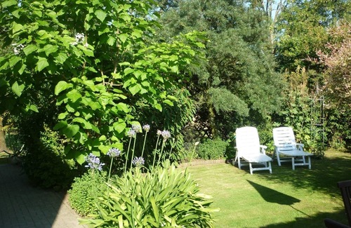 Arbshagen Apartment | Elegant Apartment in Groß Kordshagen with garden