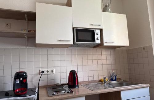 Magdeburg Apartment | Elegant &Apartment 1