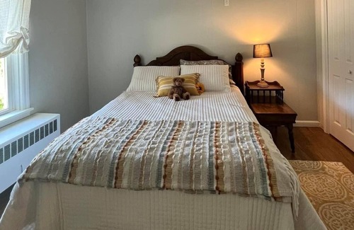 Wellsboro Other | Elegant farmhouse with dog park and pirate ship!