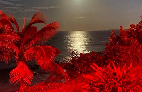 Hato Abajo Apartment | Elegant Ocean-Front Apartment, PRIVATE Jacuzzi, BBQ
