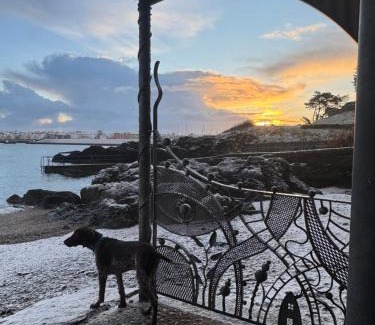 Bangor Apartment | Elegant Seaview Apartment