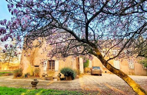 Fontenay House | Elegant Spacious Manor House in Lower Normandy near Mt St Michel sleeps 15