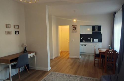 Flensburg Apartment | Elegante Einzimmerwohnung