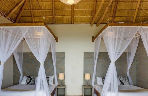 Kasese Cabin | Elephant Plains Lodge