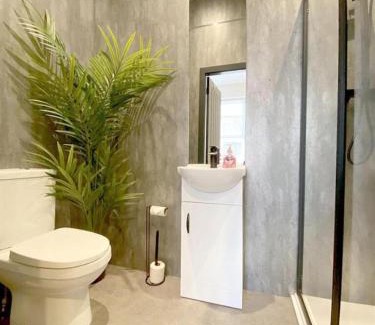 Harrogate Hotel | Eleven on Dragon - Boutique Hotel Rooms & Studio Apartment