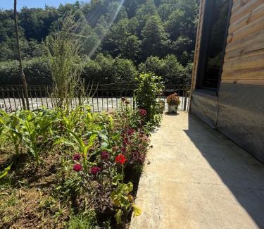 Ayder Hotel | Elfida Tinyhouse