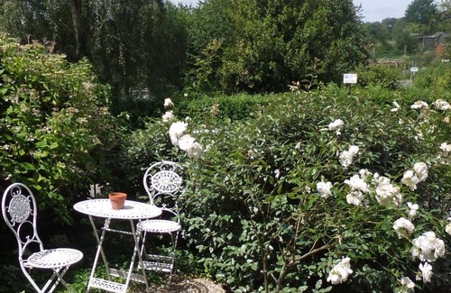 Upper Town Bed & Breakfast | Elgin Villa