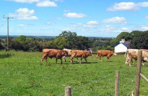 Dinas House | Elidir Cottage