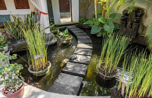 Umalas Villa | Elina Villas