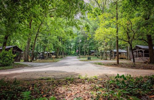 Lookout Valley Neighborhood Association House | Elise Cabin Forest Retreat 5 Mins To Downtown