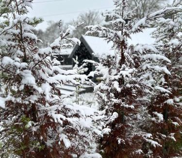 Hallington House | Elishaw Farm Holiday Cottages