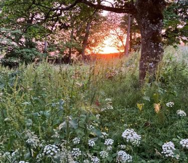 Hallington House | Elishaw Farm Holiday Cottages