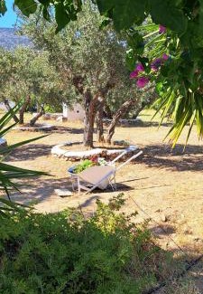 Platis Gialos Apartment | Elisso Villas