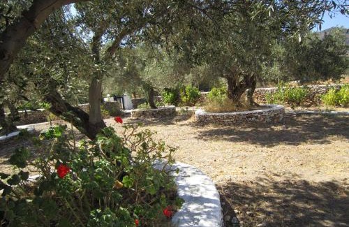 Platis Gialos Apartment | Elisso Villas