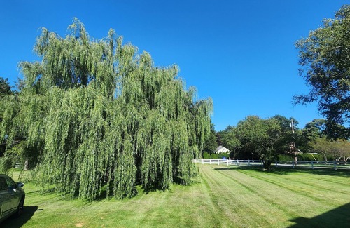 Park Forest Village House | Elite historic Atherton estate centrally located and 2.4 miles from stadium.