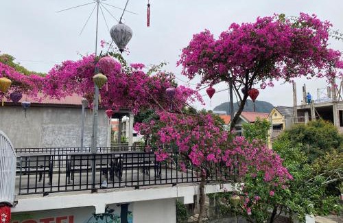 Hoa Lu Hotel | Elizabeth Hotel Tam Coc