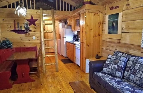 Franklin Cabin | Elk Cabin - 2 Bedroom/1 Bath Vacation Rental