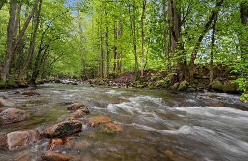 Cosby House | Elk Rapids on Cosby Creek cabin