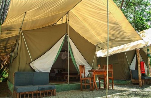 Ella RV Rental | Ella Glamping