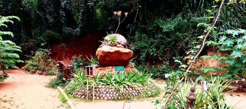 Wellawaya Bed & Breakfast | Ella Nature Park Resort