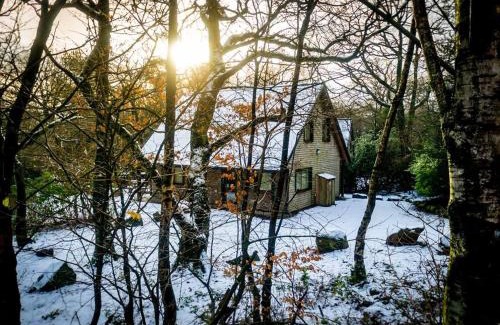 Farley House | Ellastone, woodland lodge with hot tub for 8