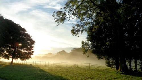 St. Florence Bed & Breakfast | Elm Grove Country House