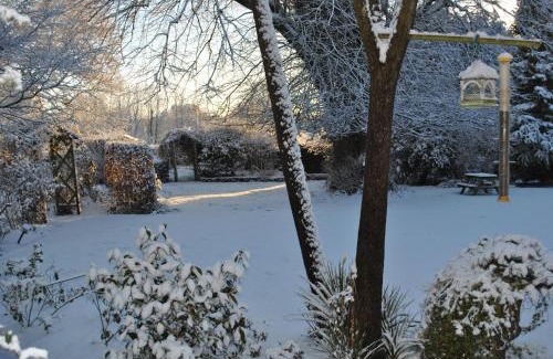 Northlew Bed & Breakfast | Elmfield