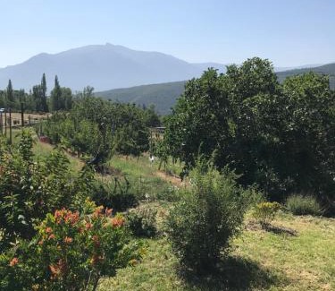 Molitg-les-Bains Apartment | Els Pirineus