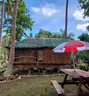 Panglao House | Elvira's Homestay