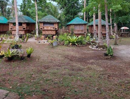 Panglao House | Elvira's Homestay