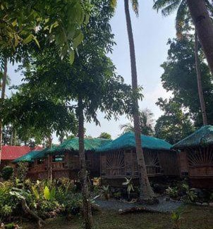Panglao House | Elvira's Homestay