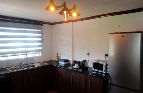 Matibidi Apartment | eManzini Guesthouse