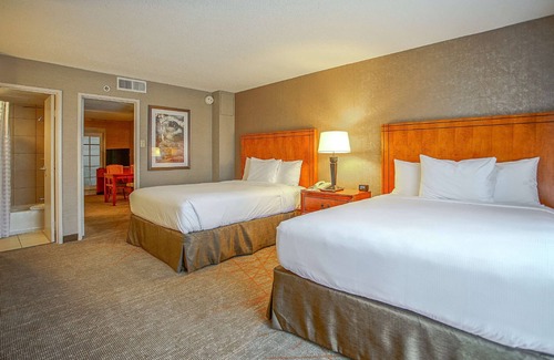 San Antonio Apartment | Embassy Suites by Hilton San Antonio NW I-10