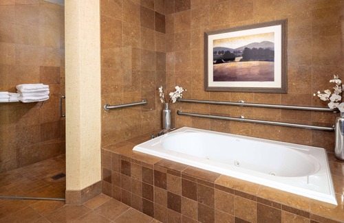 La Vista Hotel | Embassy Suites Omaha-La Vista/Hotel & Conference Center