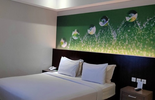 Timika Hotel | Emerald Hotel