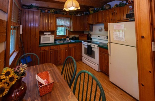 Cosby Cabin | Emerald Pines-quaint & private mountain cabin