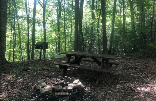 Cosby Cabin | Emerald Pines-quaint & private mountain cabin