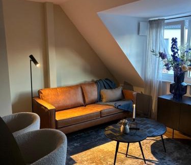 Vreden Apartment | Emils City Suite