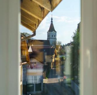 Rasnov Apartment | Emma's Green Home