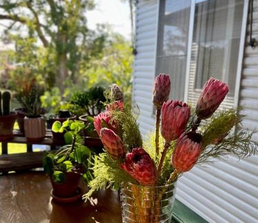 Marsfield House | En-suite Guest Room Ryde/Macquarie Park/Eastwood